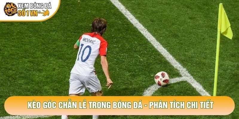 Kèo Góc Chẵn Lẻ Trong Bóng Đá – Phân Tích Chi Tiết