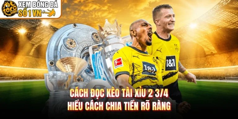 Cách Đọc Kèo Tài Xỉu 2 3/4 - Hiểu Cách Chia Tiền Rõ Ràng