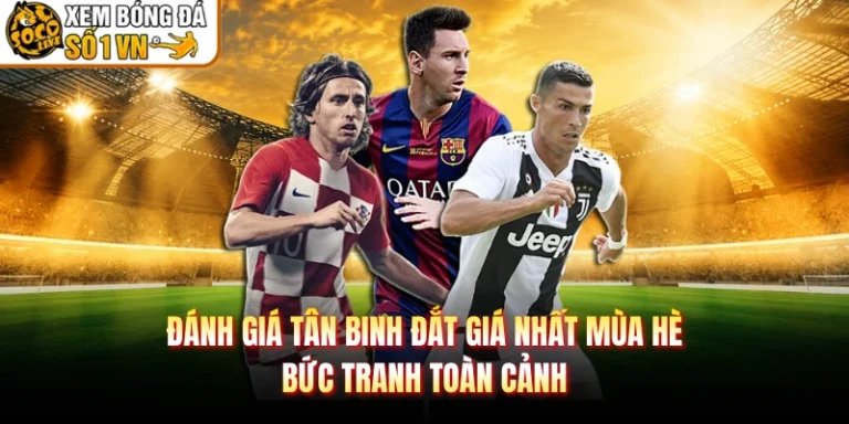 Đánh Giá Tân Binh Đắt Giá Nhất Mùa Hè - Bức Tranh Toàn Cảnh